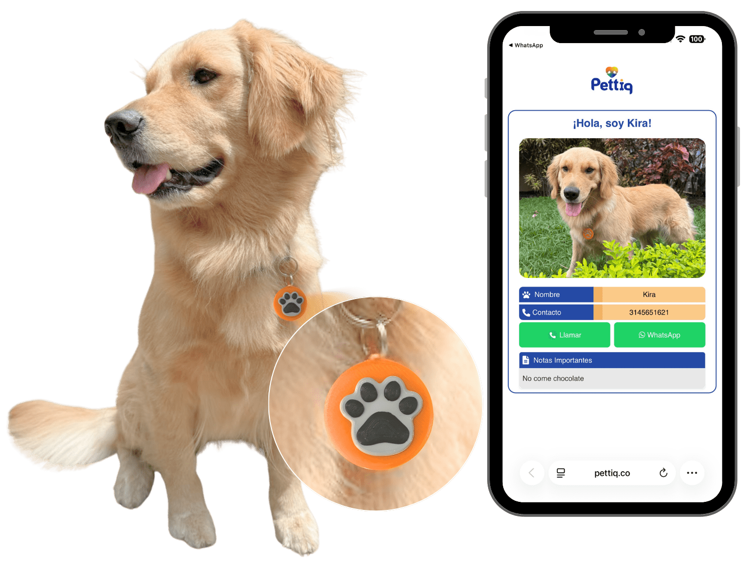 conviértete en distribuidor